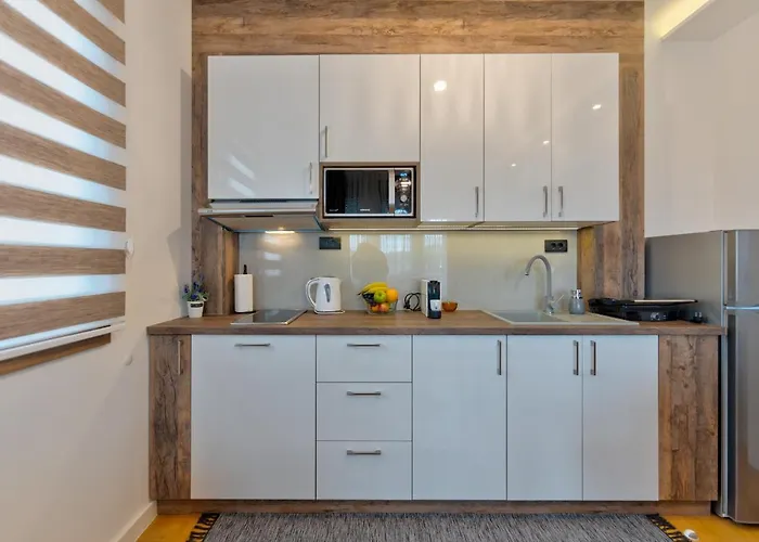 Mvsuite 29 - Luna アパート